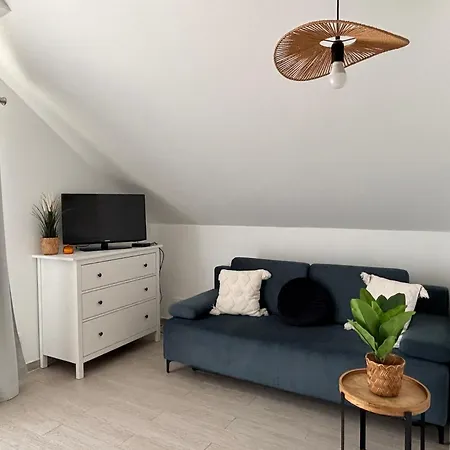 Apartment Czarna Gora - Stubai 41 *