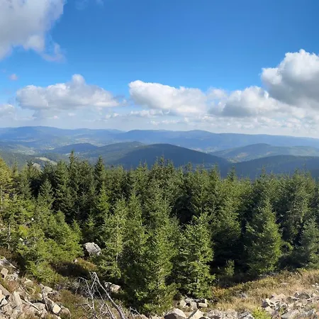 Czarna Gora - Stubai 41 Apartment *