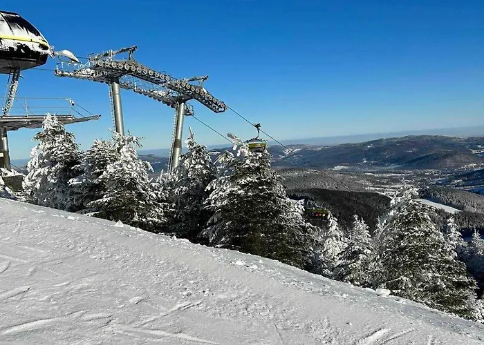 Czarna Gora - Stubai 41 سيينا