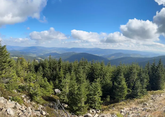 Czarna Gora - Stubai 41 شقة *